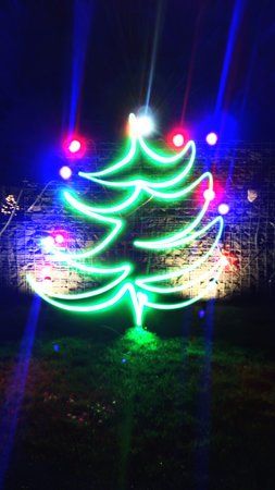 Weihnachtsbaum Lichtgraffiti.jpg