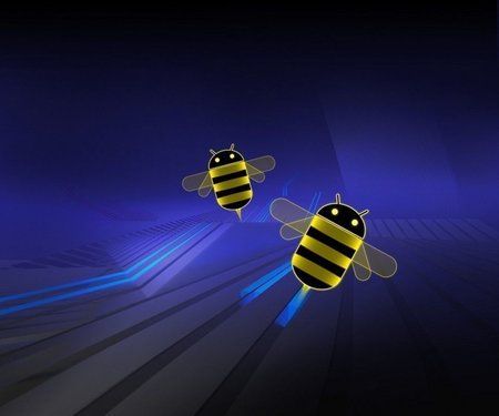 honeycomb_bees.jpg