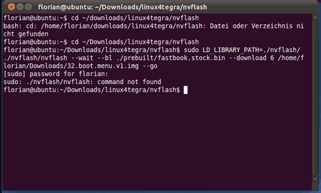 Bildschirmfoto-florian@ubuntu_ ~-Downloads-linux4tegra-nvflash.png