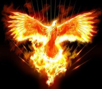 phoenix (1).jpg