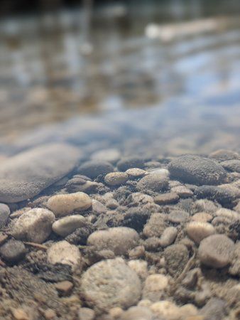 1590618029142.png