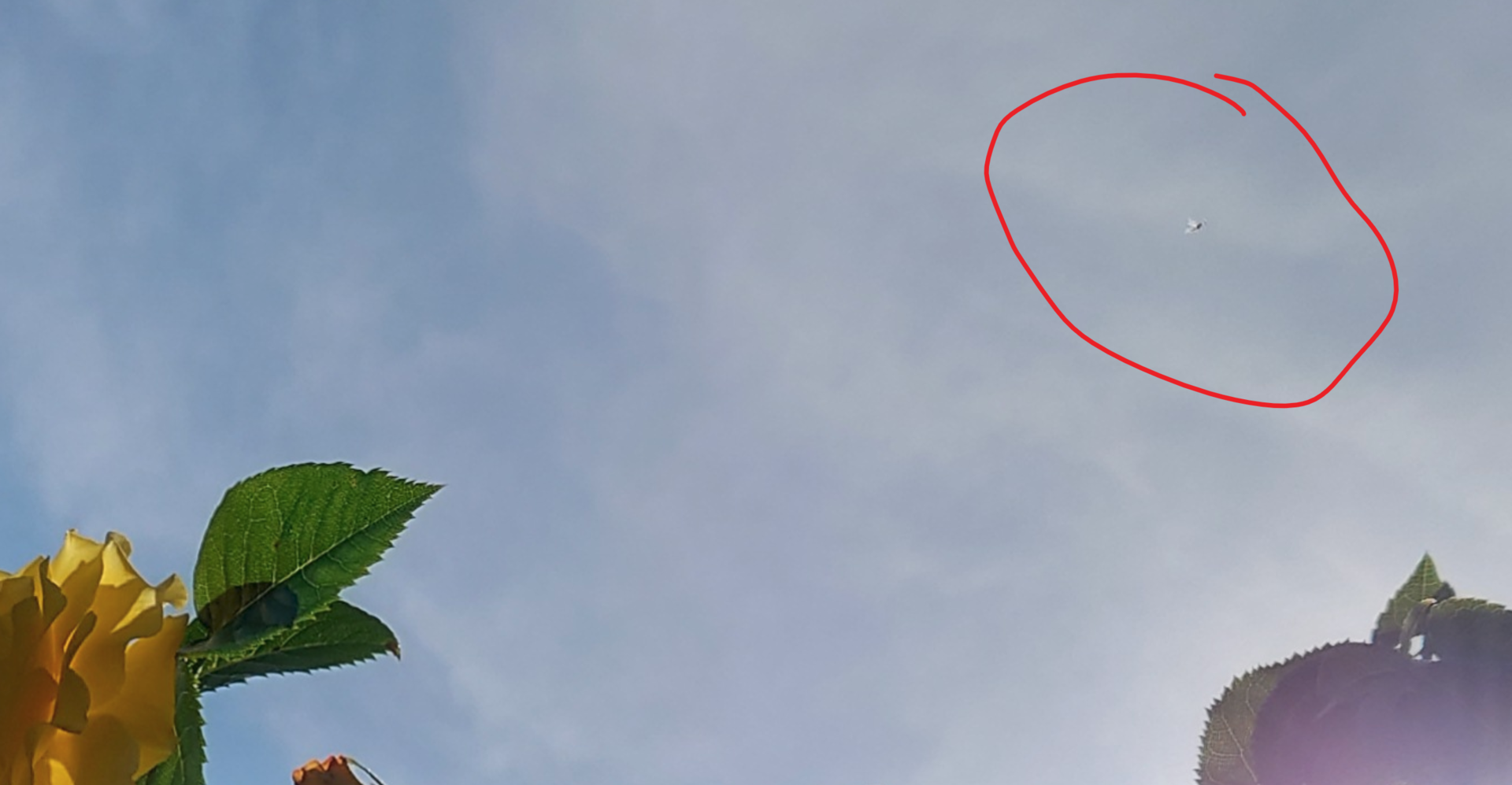 1652455809465.png