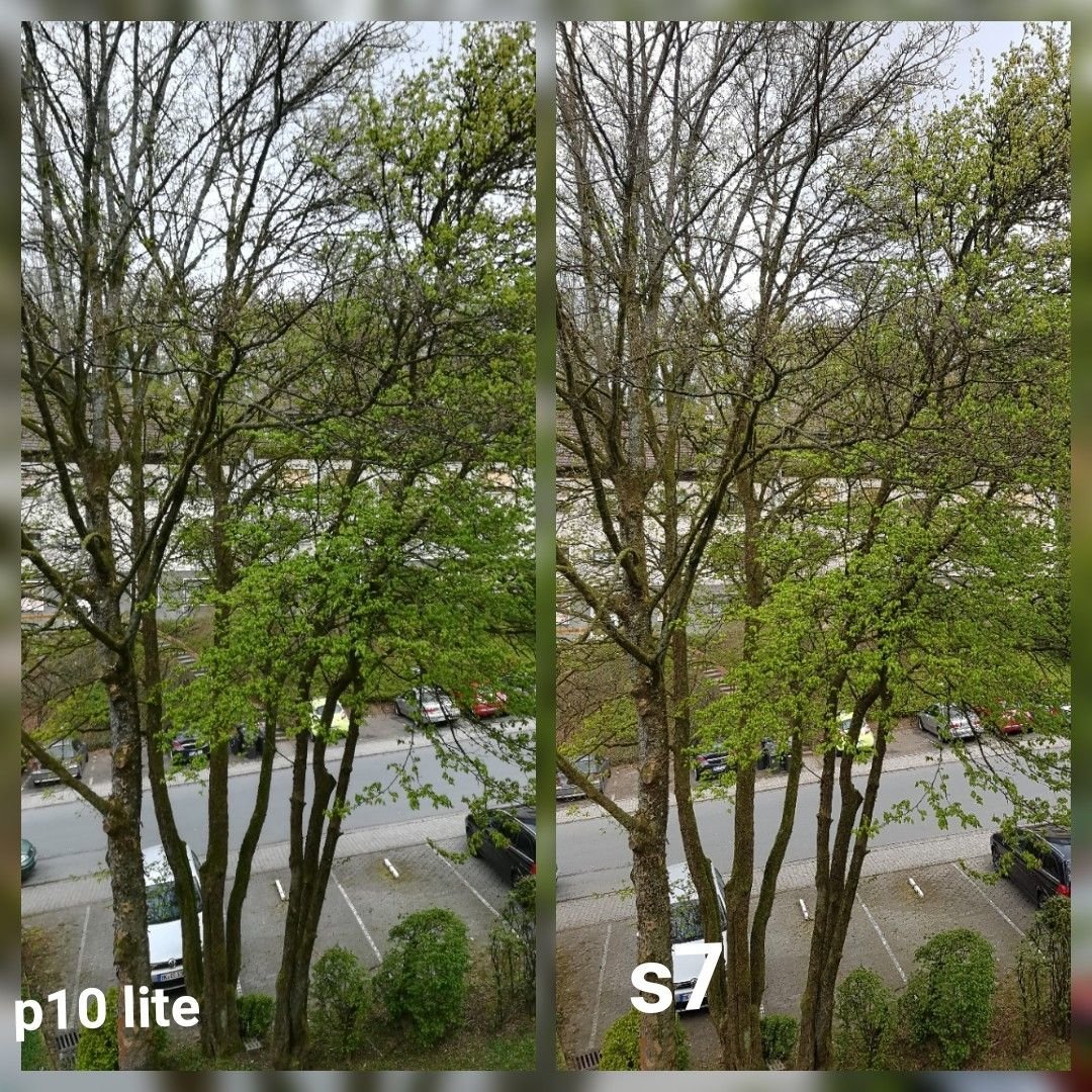 2017-04-29_09.54.16.jpg