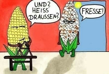 2017-04-30 13.27.07.jpg