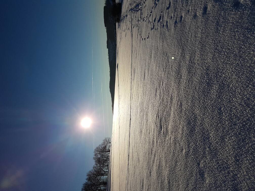 20170121_152715.jpg