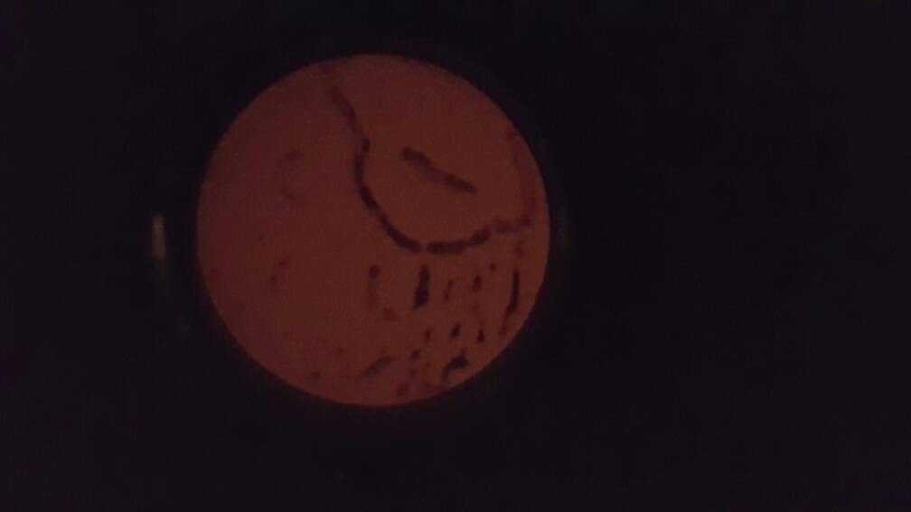 20170122_215005.jpg