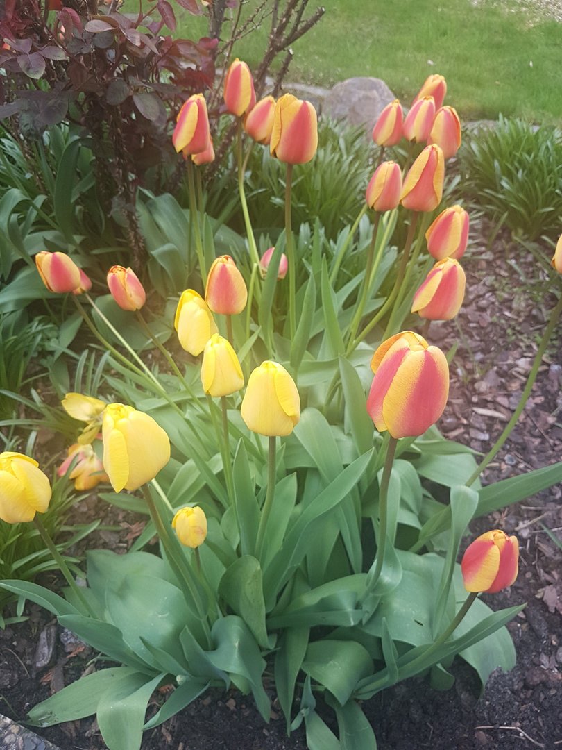 20170424_104516.jpg
