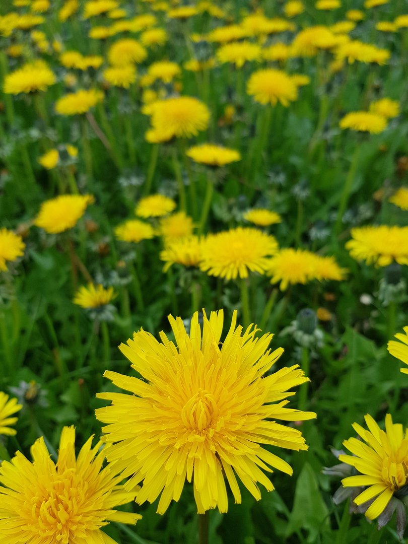 20170506_112438.jpg