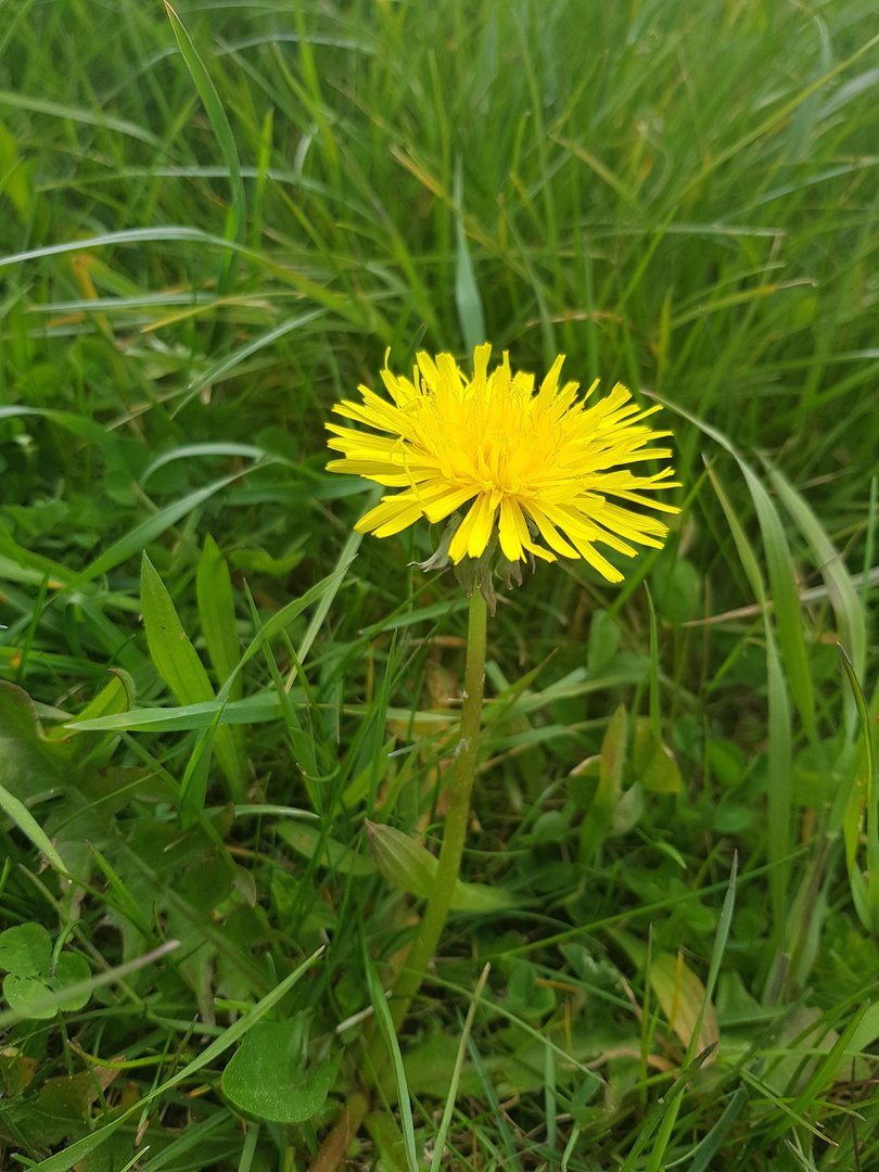 20170506_152338.jpg