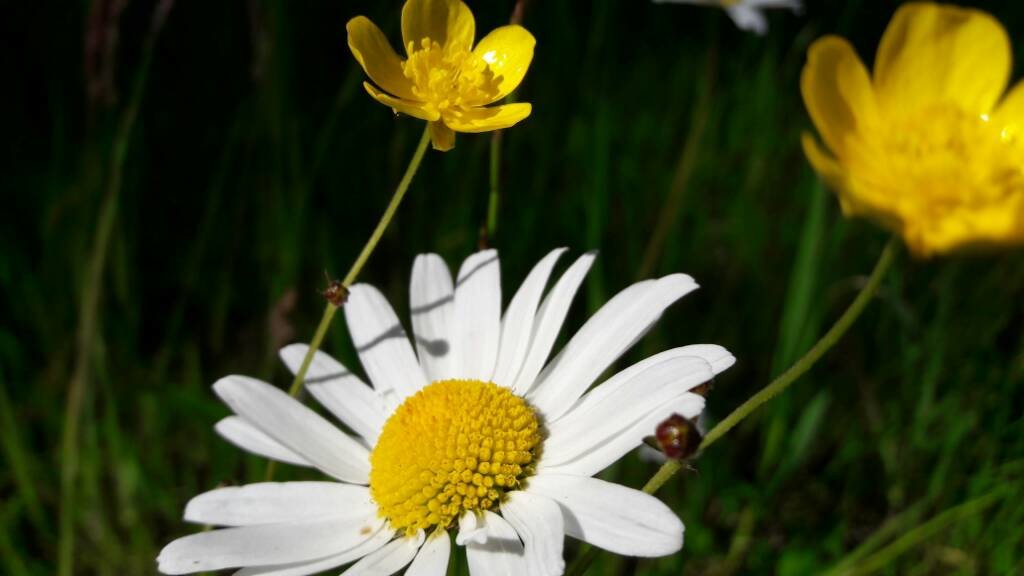 20170526_093716.jpg