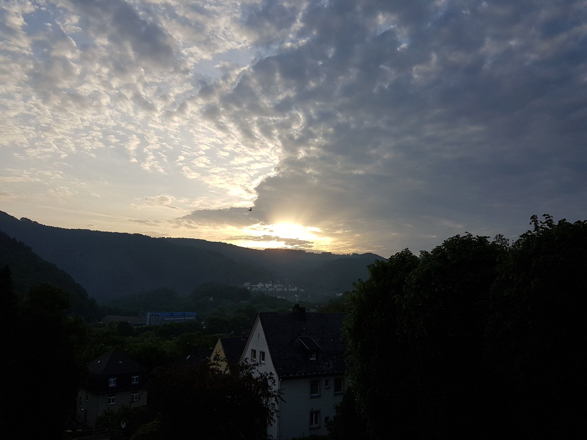 20170529_061733.jpg