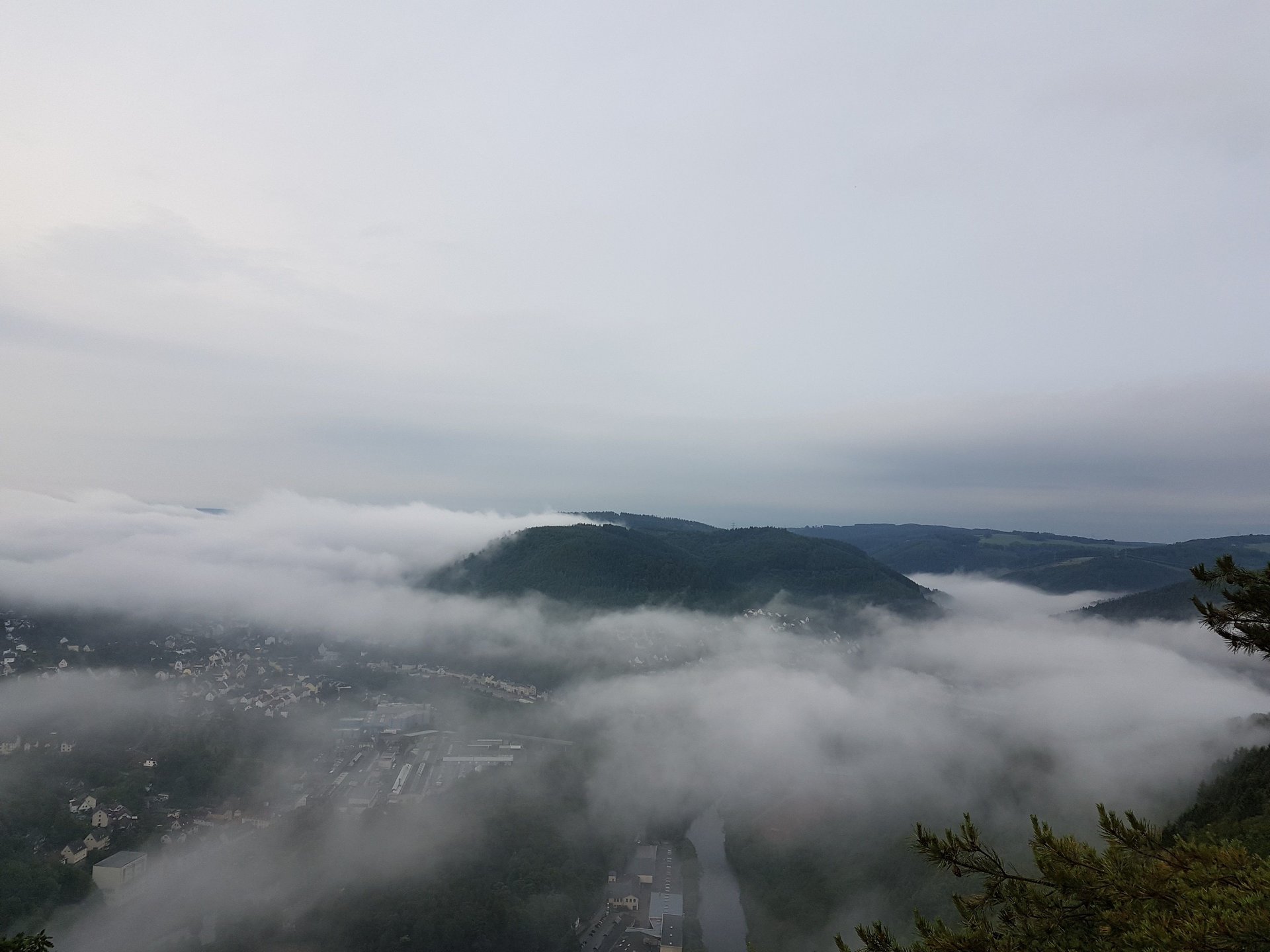 20170629_060007.jpg