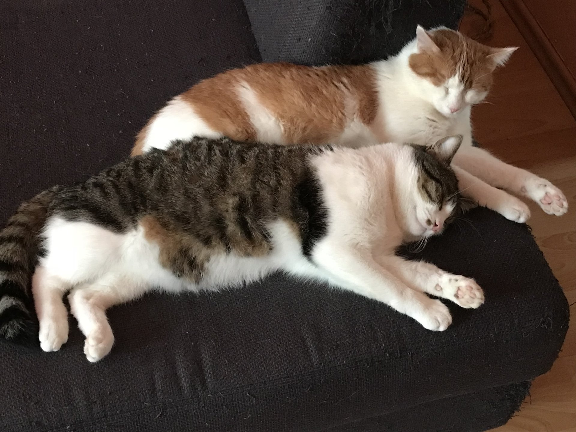 20171111_150809_IMG_0129.JPEG