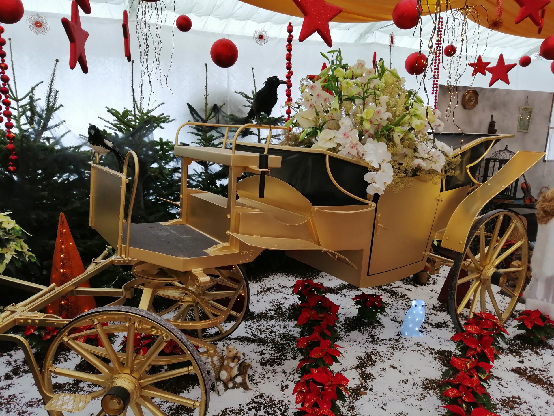 2018 11 25 Hirschstetten (133).jpg