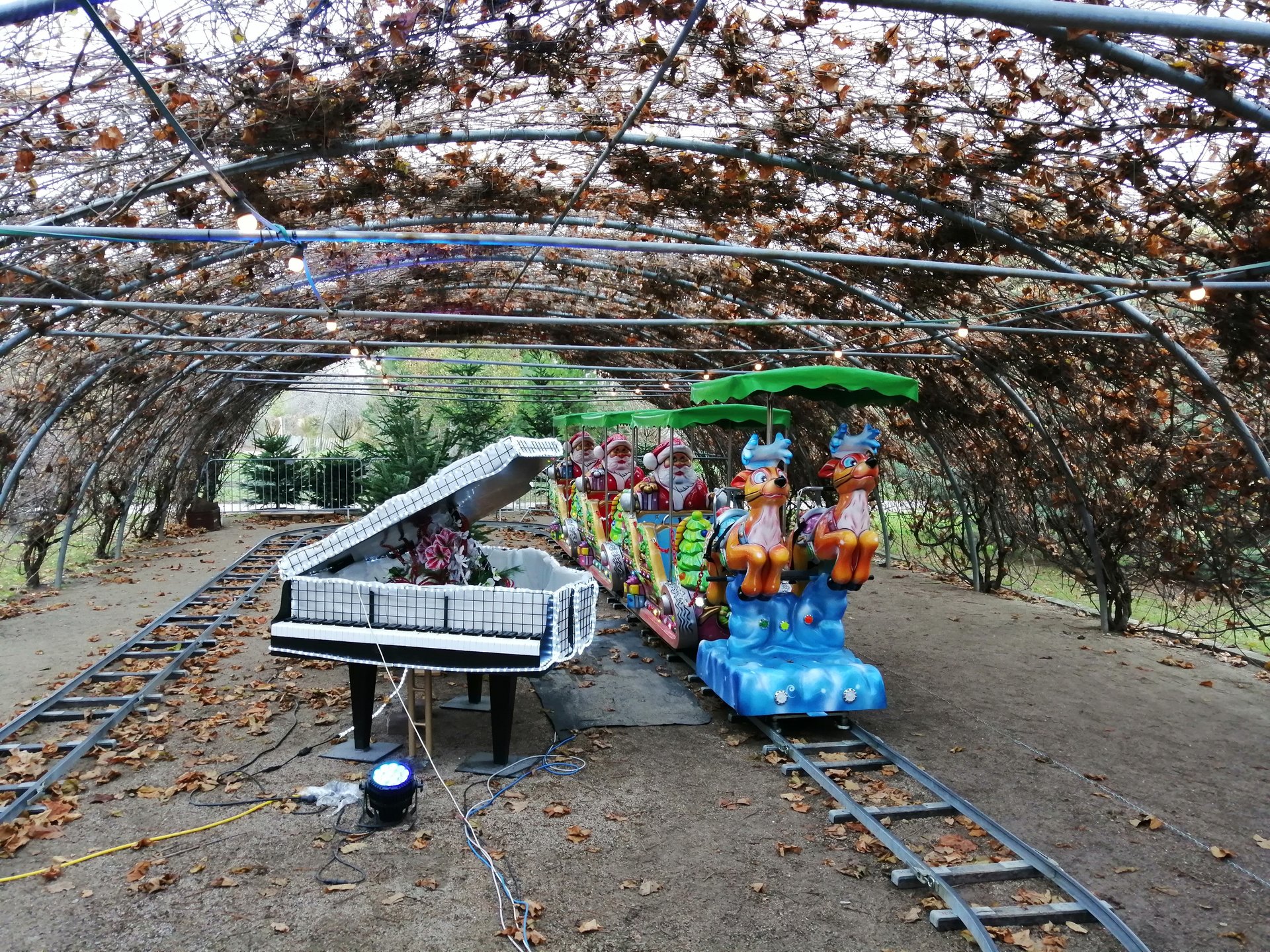 2018 11 25 Hirschstetten (38).jpg