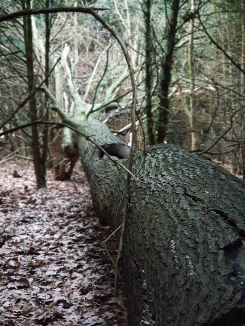 20180101_092742.jpg