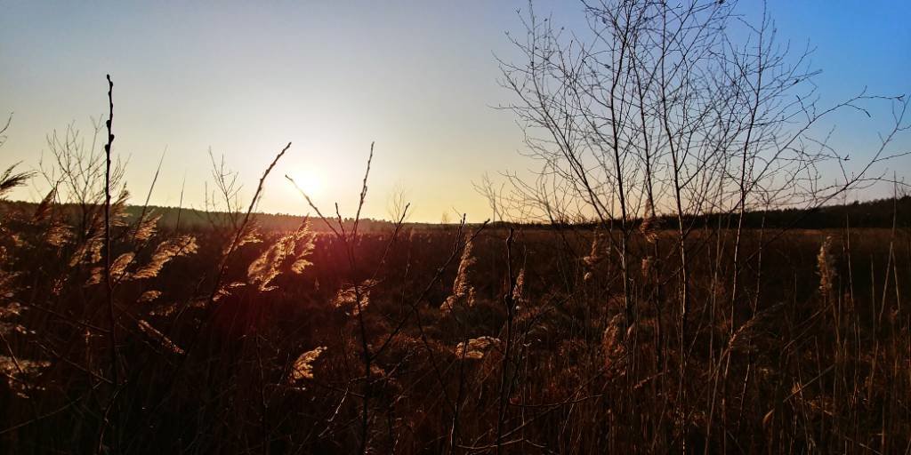 20180114_155508_HDR.jpg