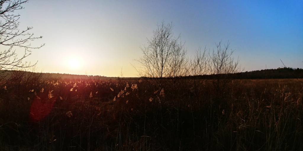20180114_155747_HDR.jpg