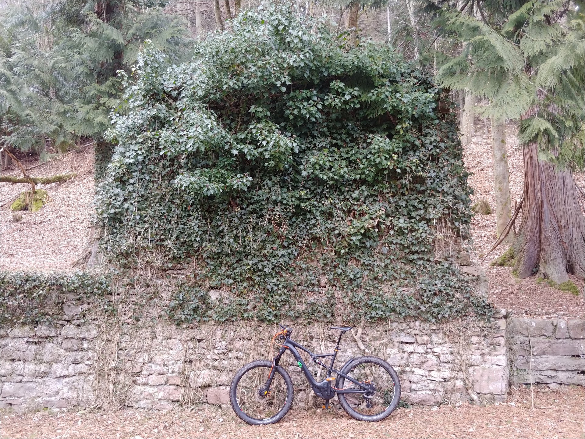 20180308_165025.jpg