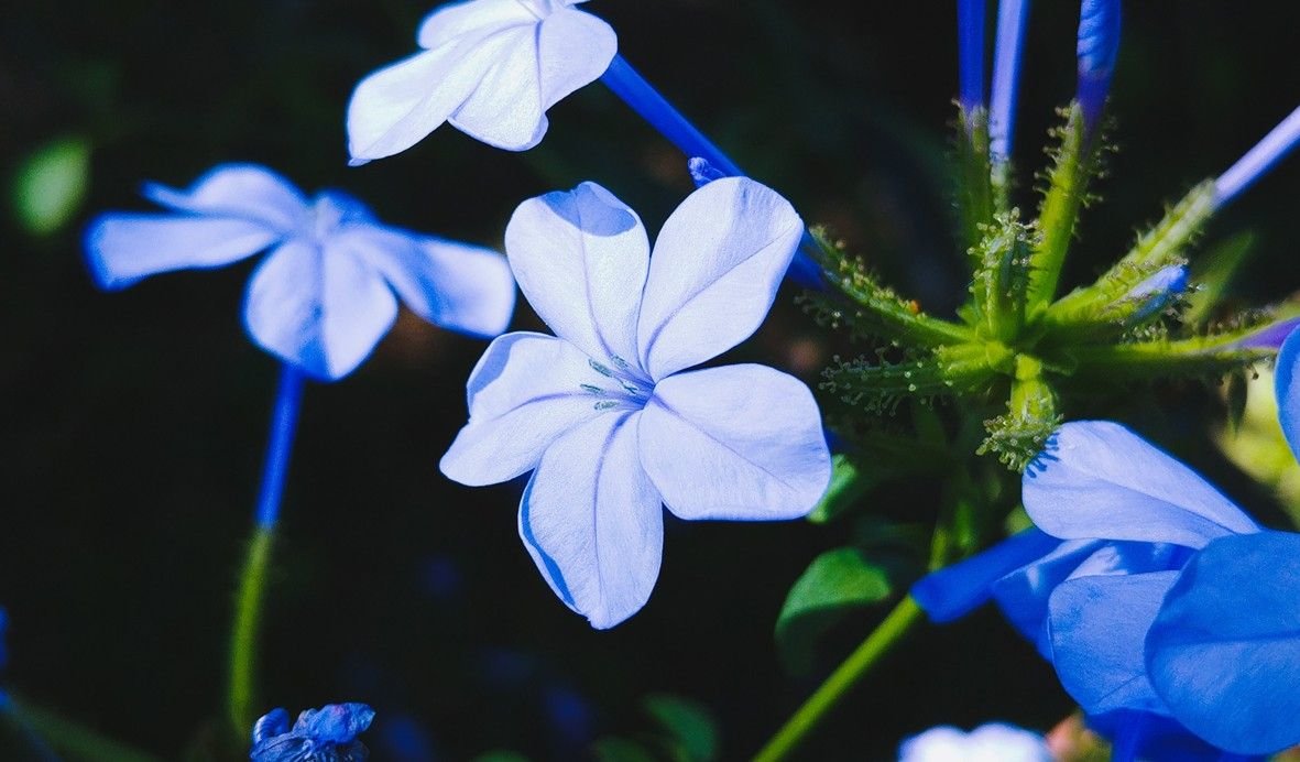 20180605_011614.jpg