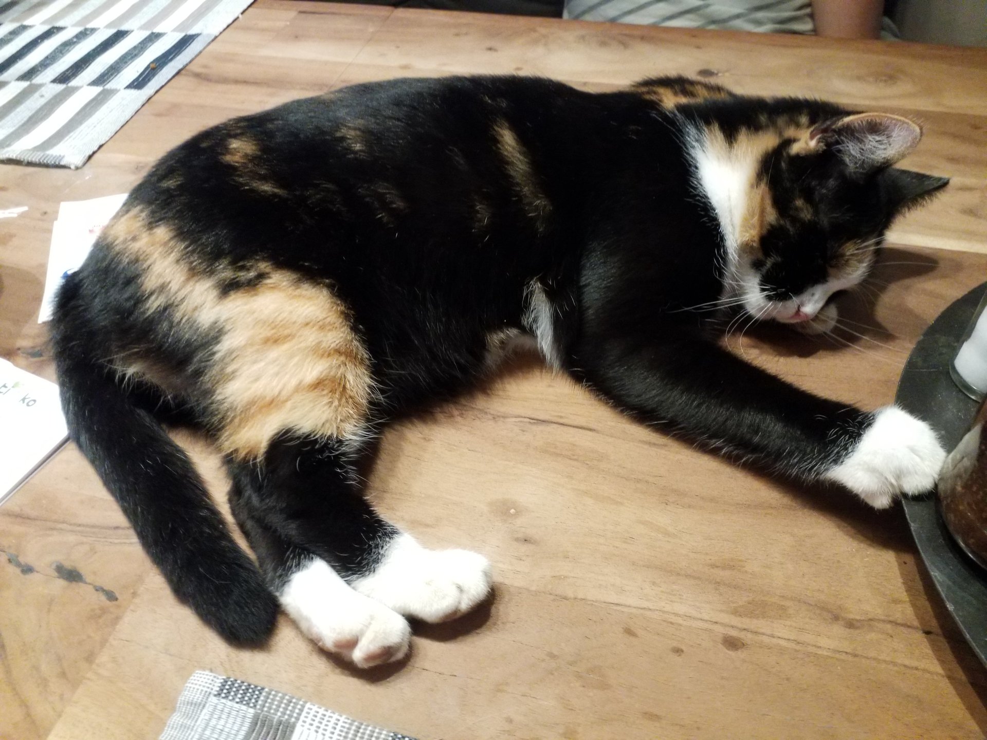 20180927_185323.jpg