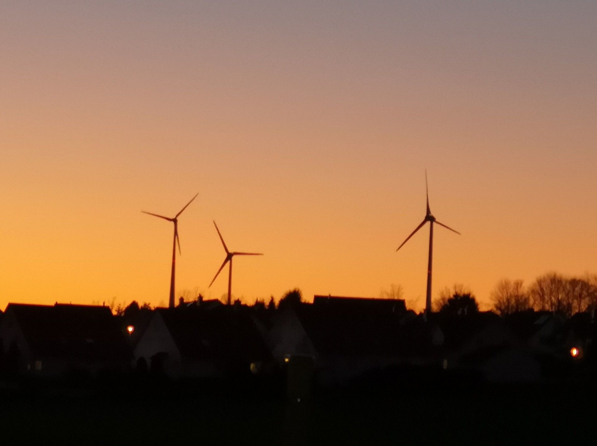 2019-02-16-19-57-55-jpg.691662