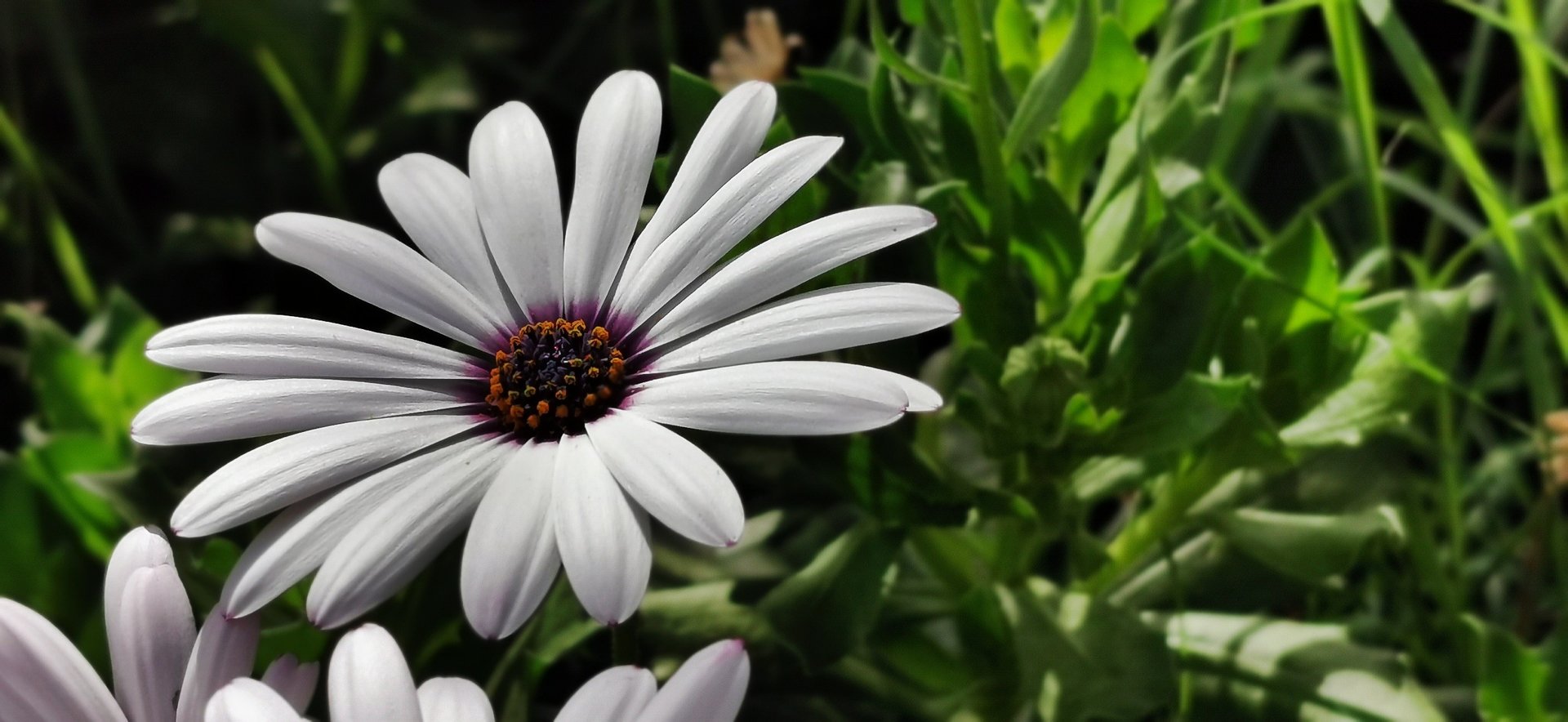 2019-05-09-21-43-31.jpg