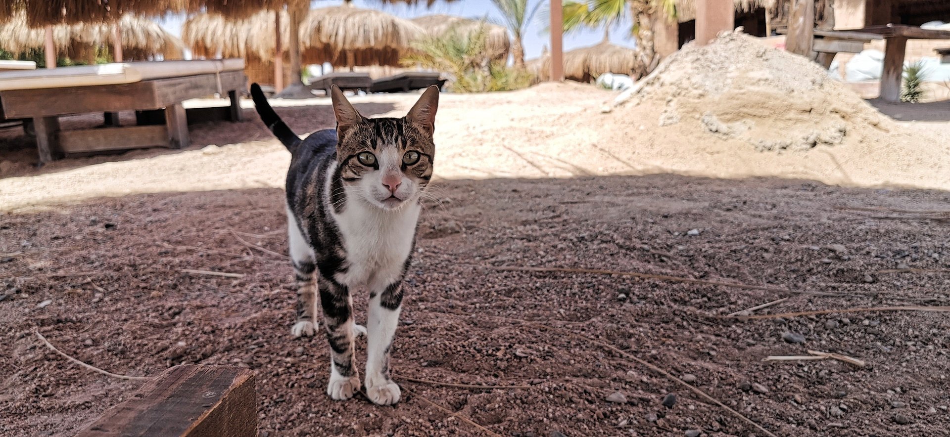 2019-05-13-20-06-35.jpg