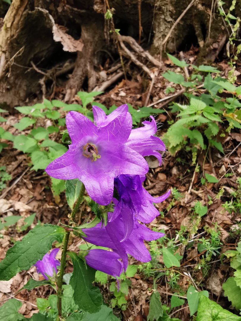2019-09-16 14.31.16.jpg