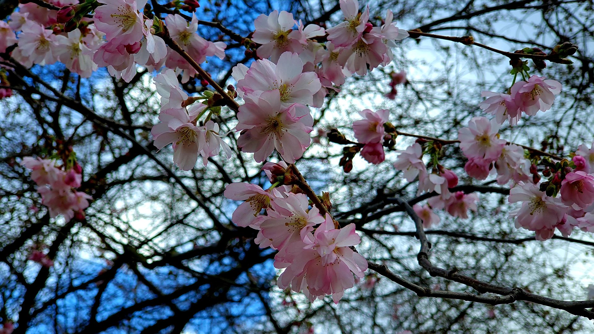 20190319_115144.jpg