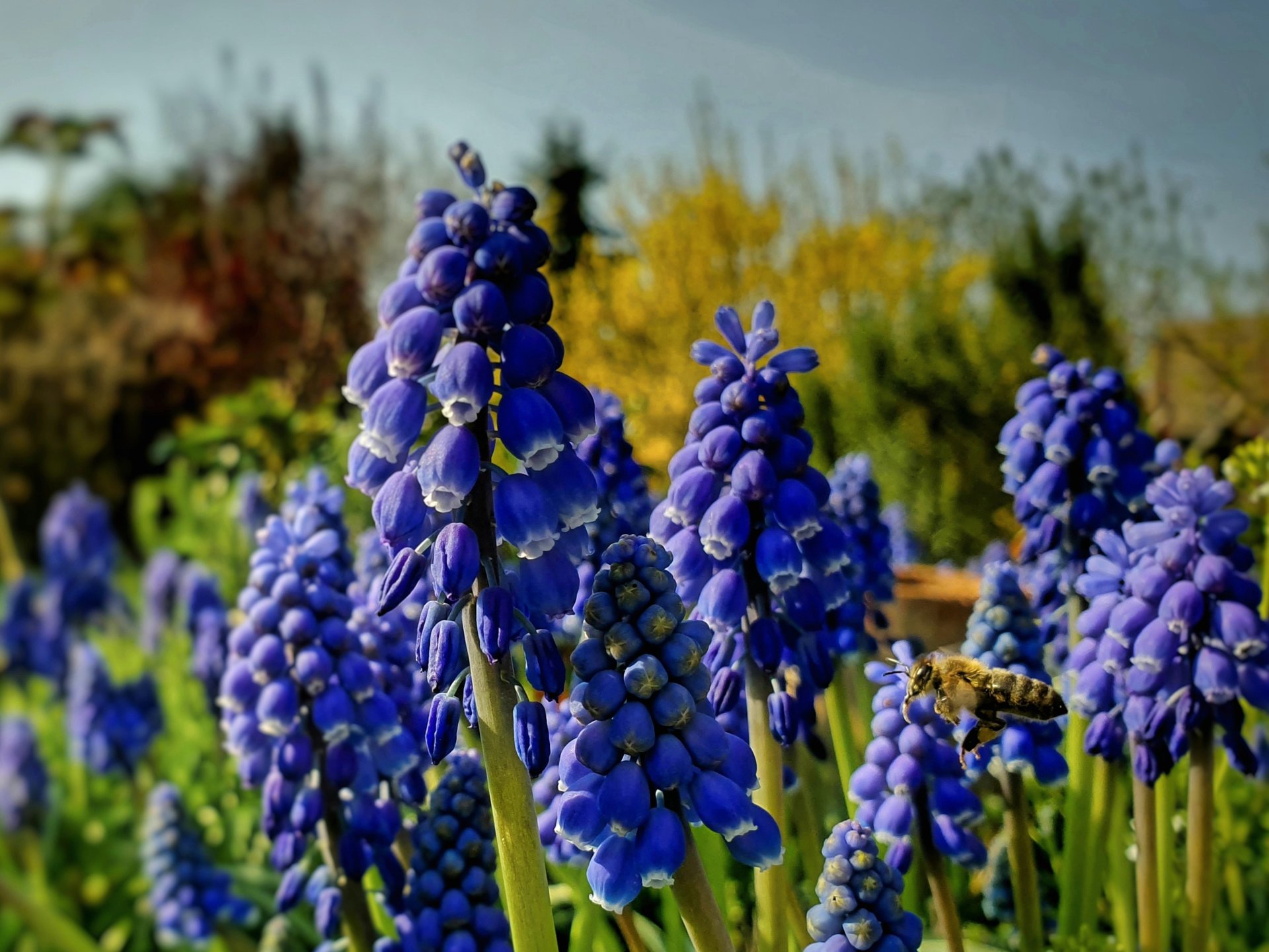20190406_164727.jpg