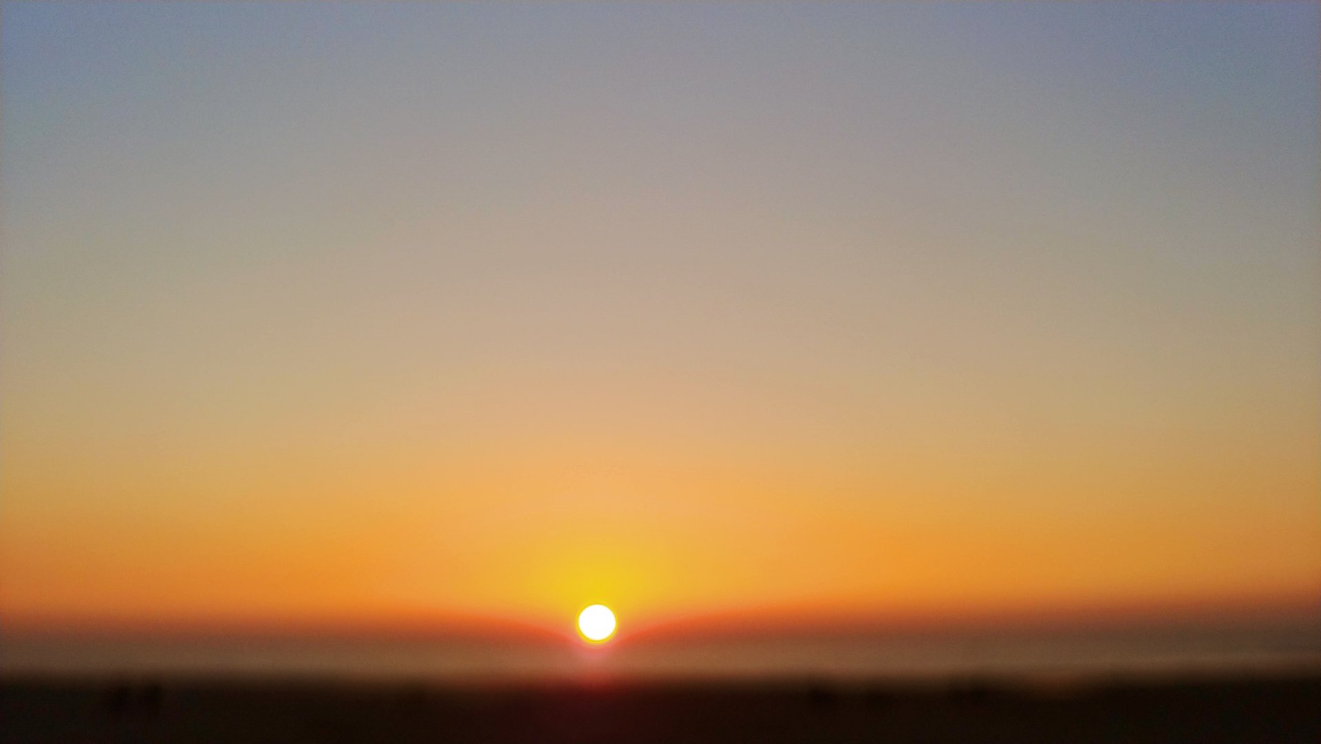 20190420_204513.jpg