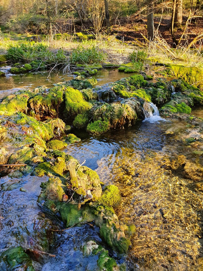 20190421_184650.jpg