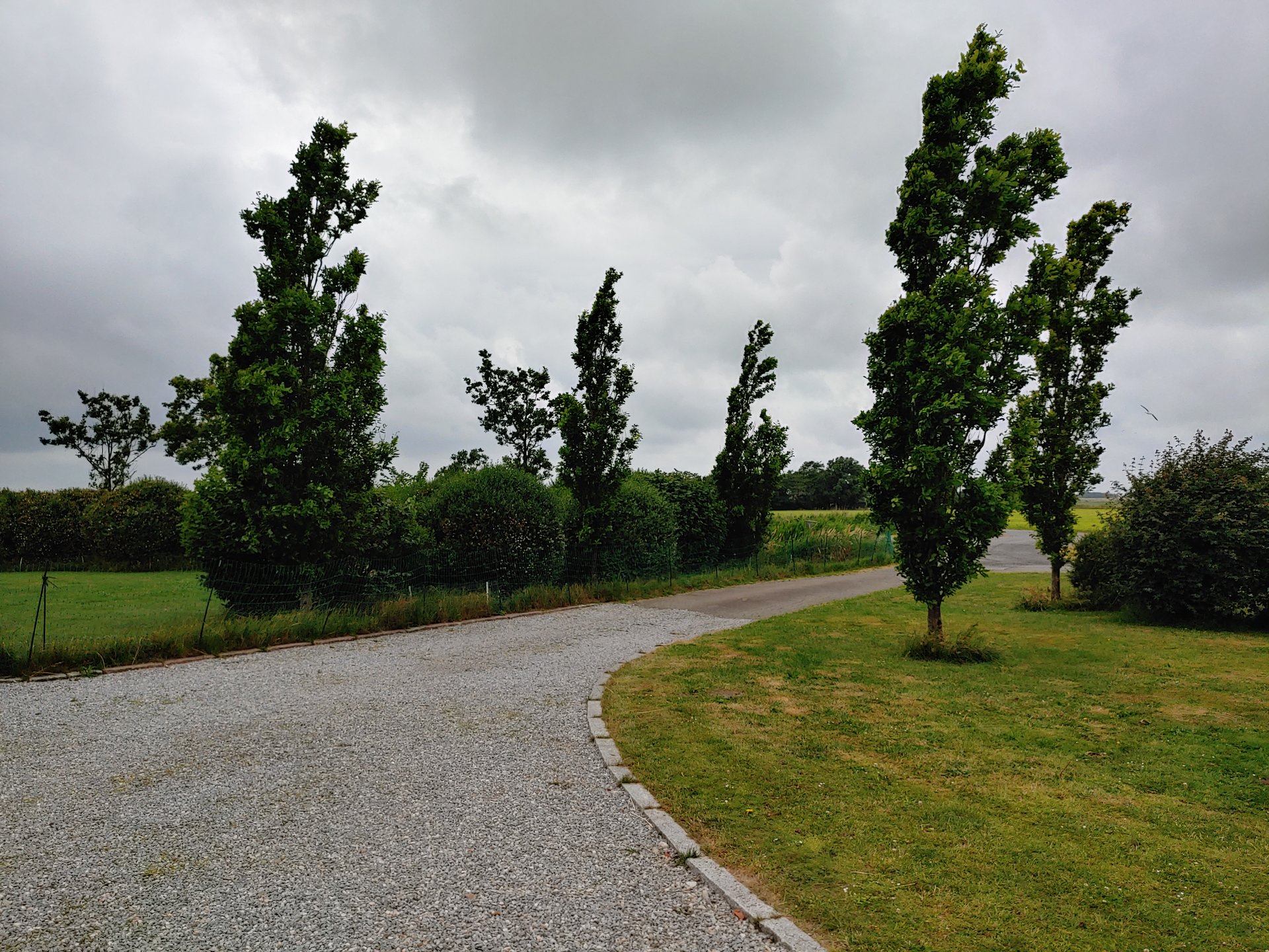 20190704_153831_HDR.jpg