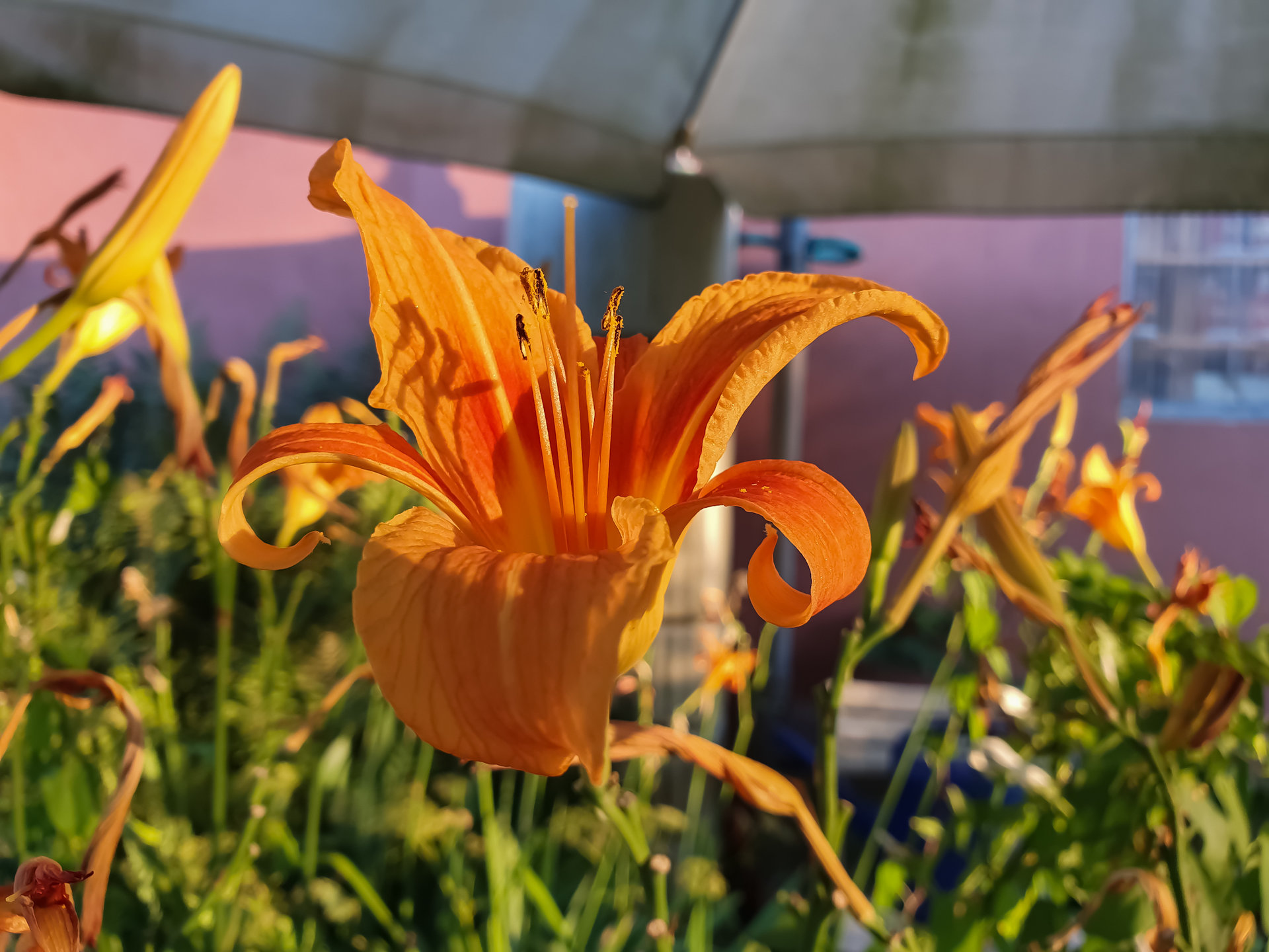 20190705_203318_edited1.jpg