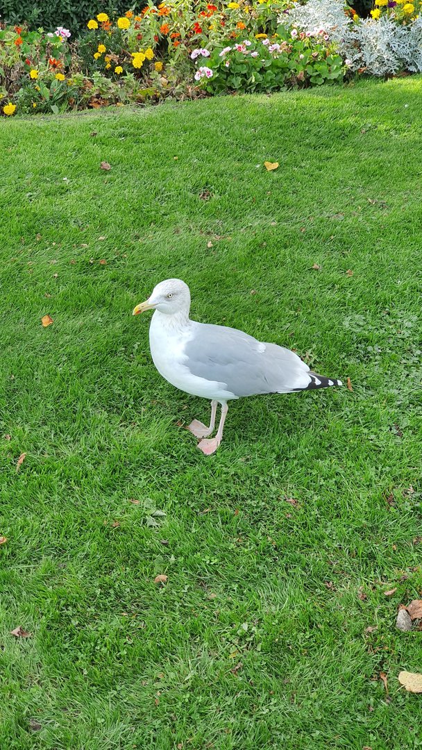 20191015_145359.jpg
