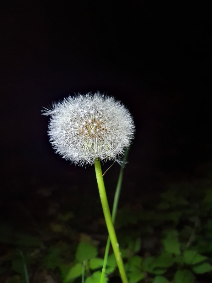 20191115_173314.jpg