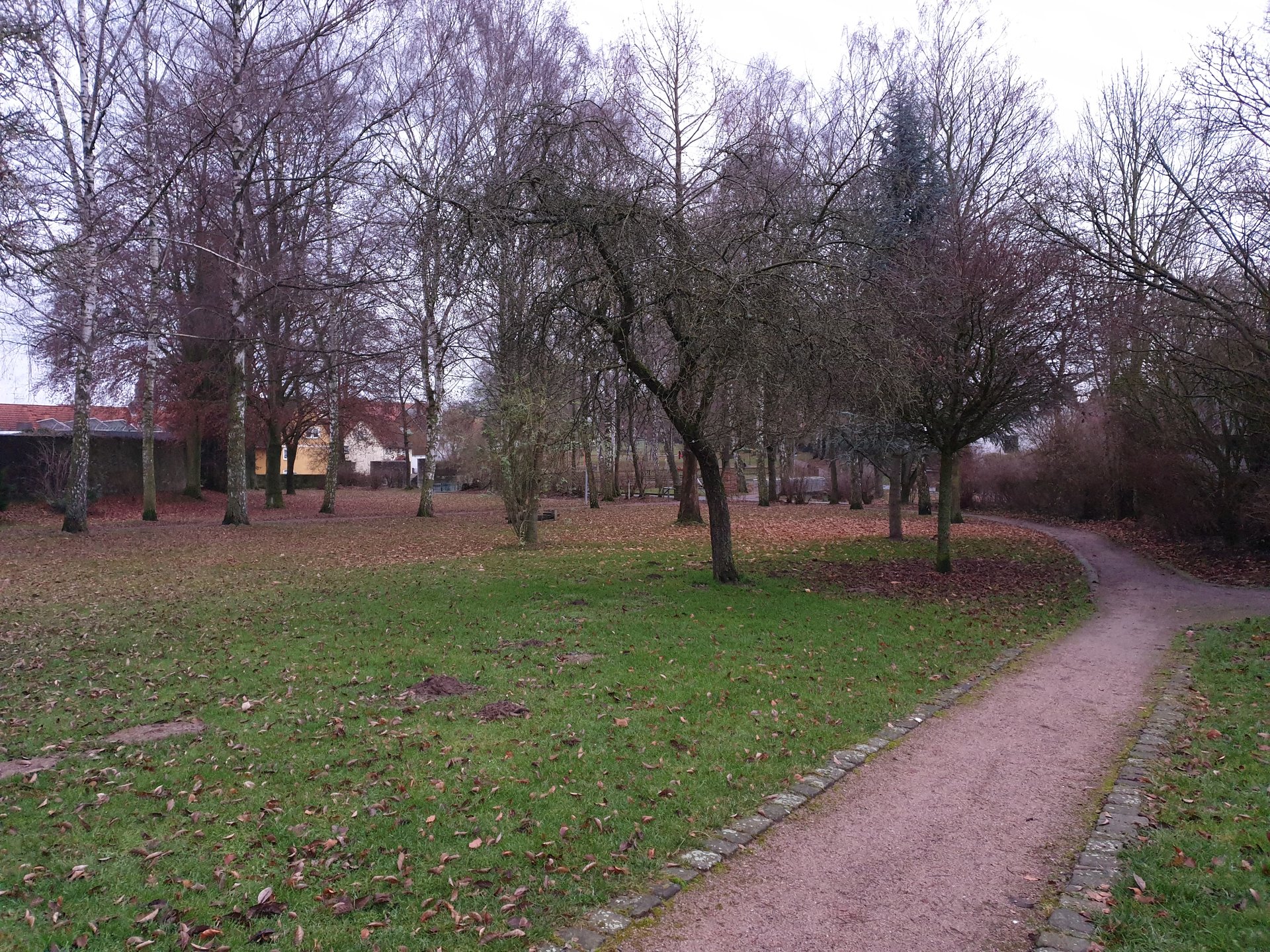 20200107_164204.jpg