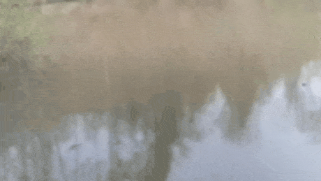 20200306-201134[1].gif