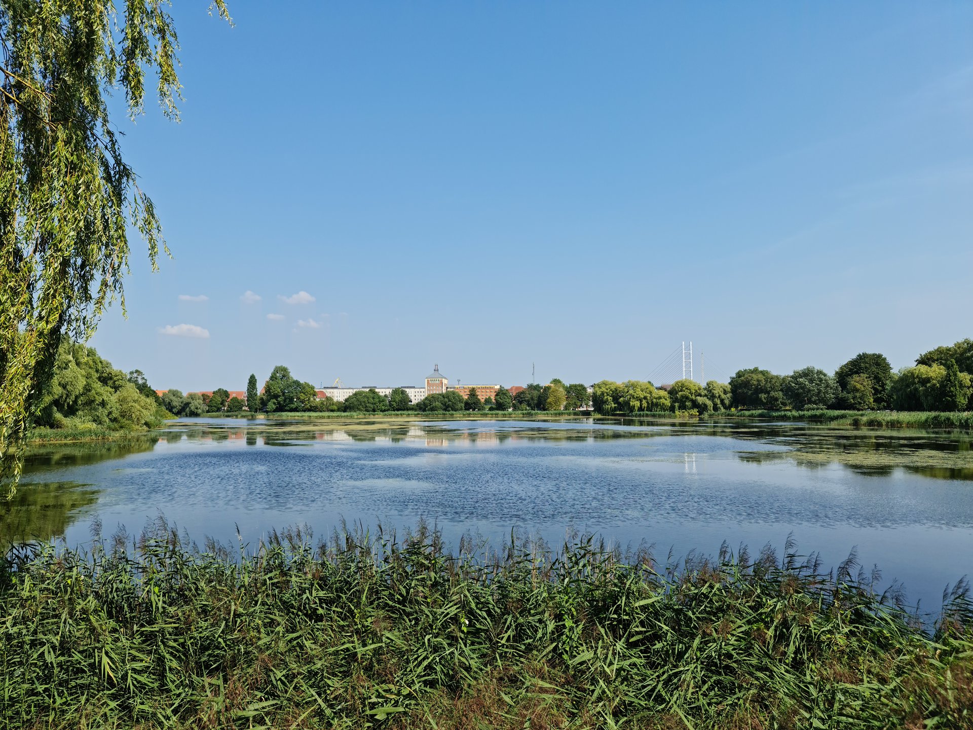 20200814_151616.jpg