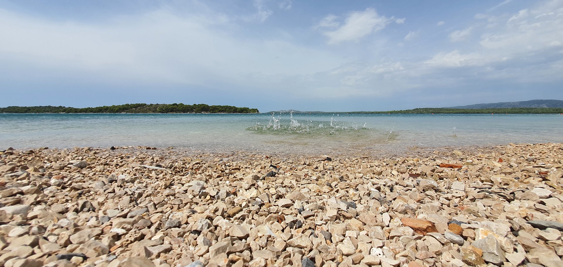 20200830_132956(0).jpg