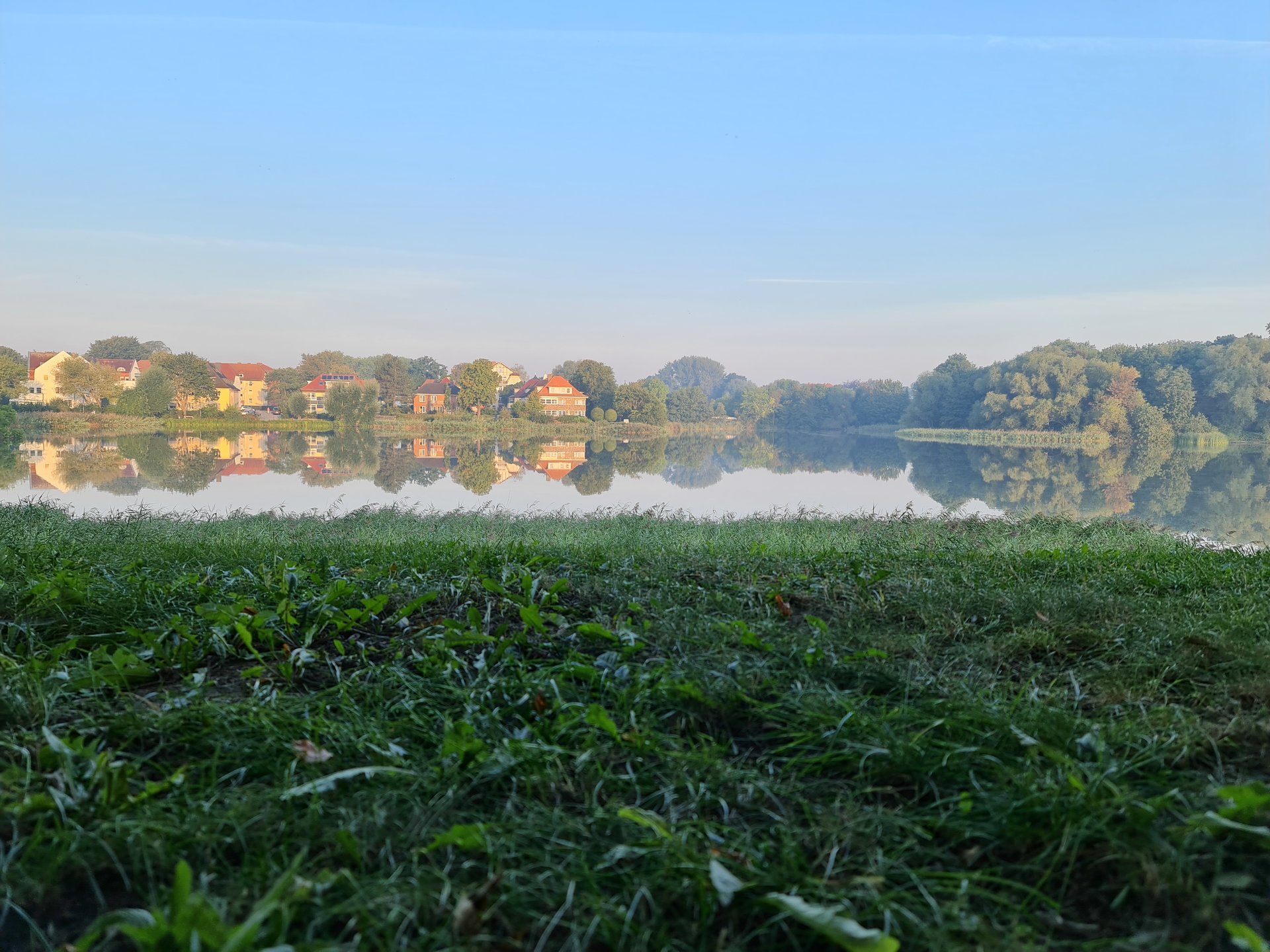 20200916_074112.jpg