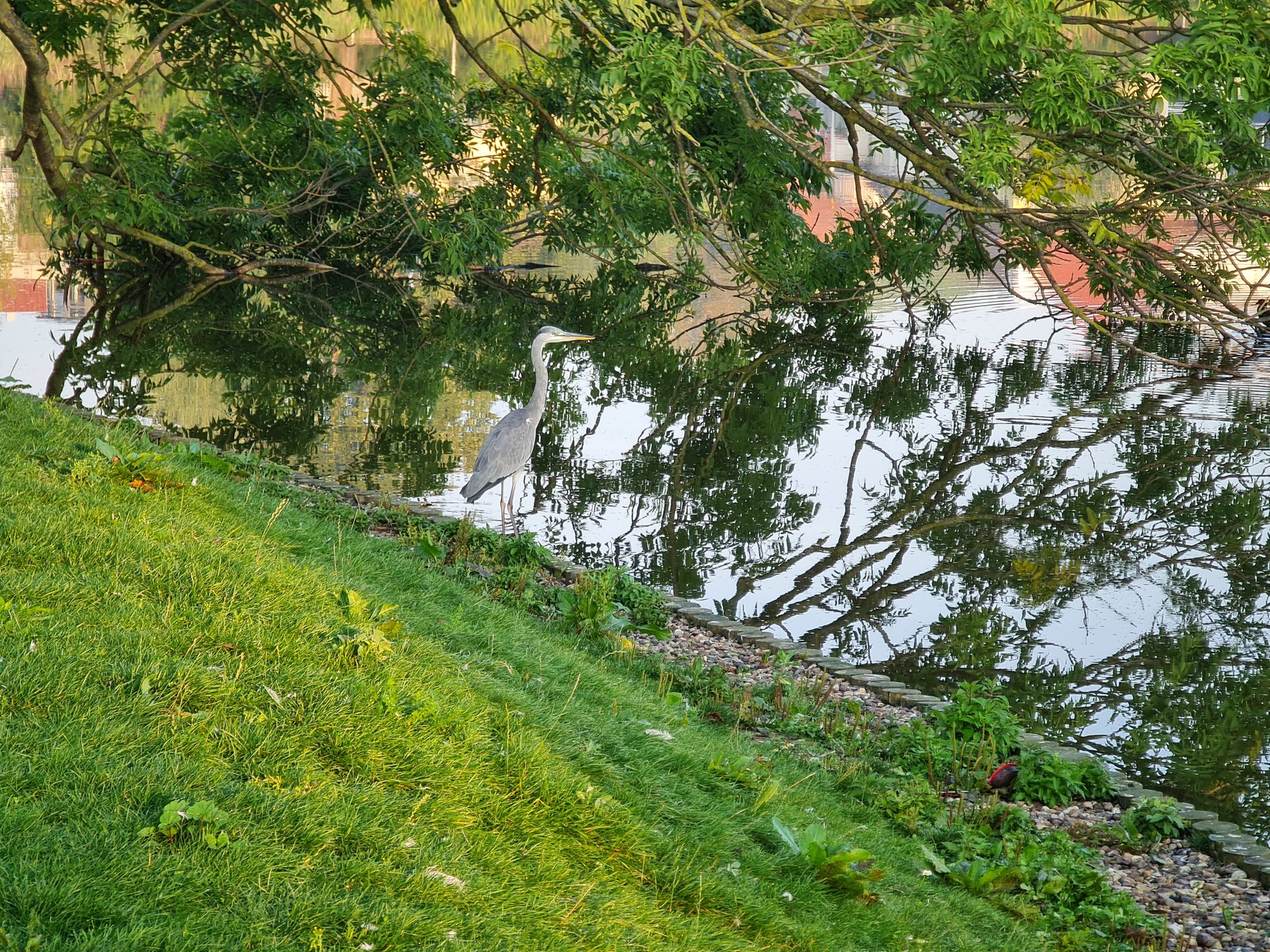20200916_074447.jpg