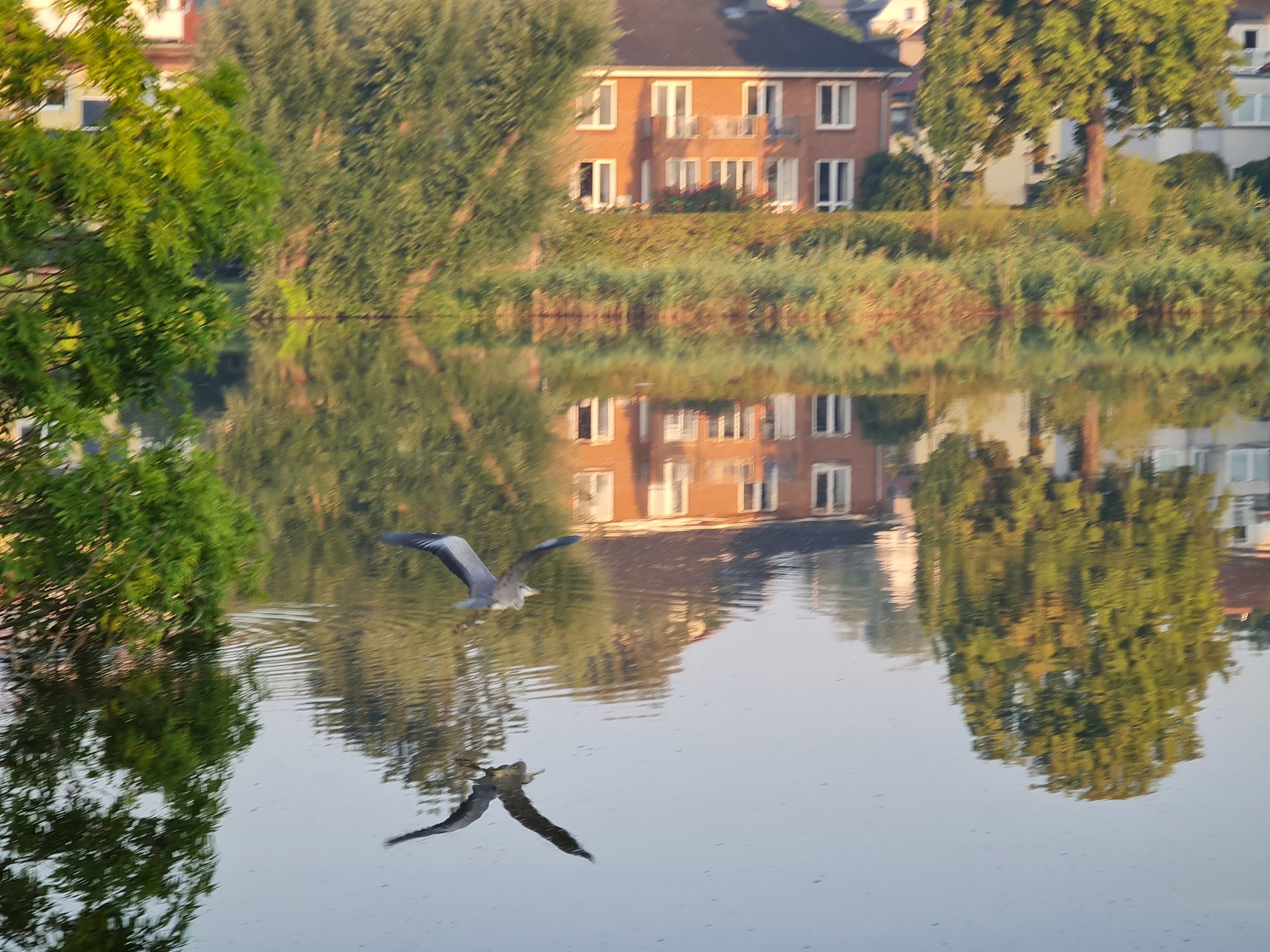 20200916_074455.jpg
