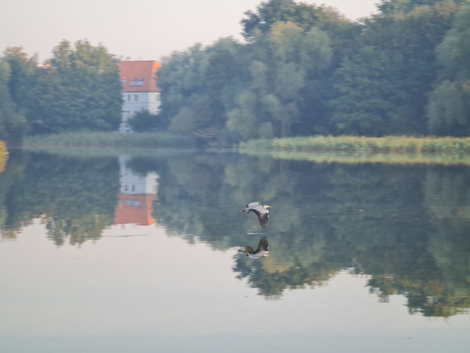 20200916_074458.jpg