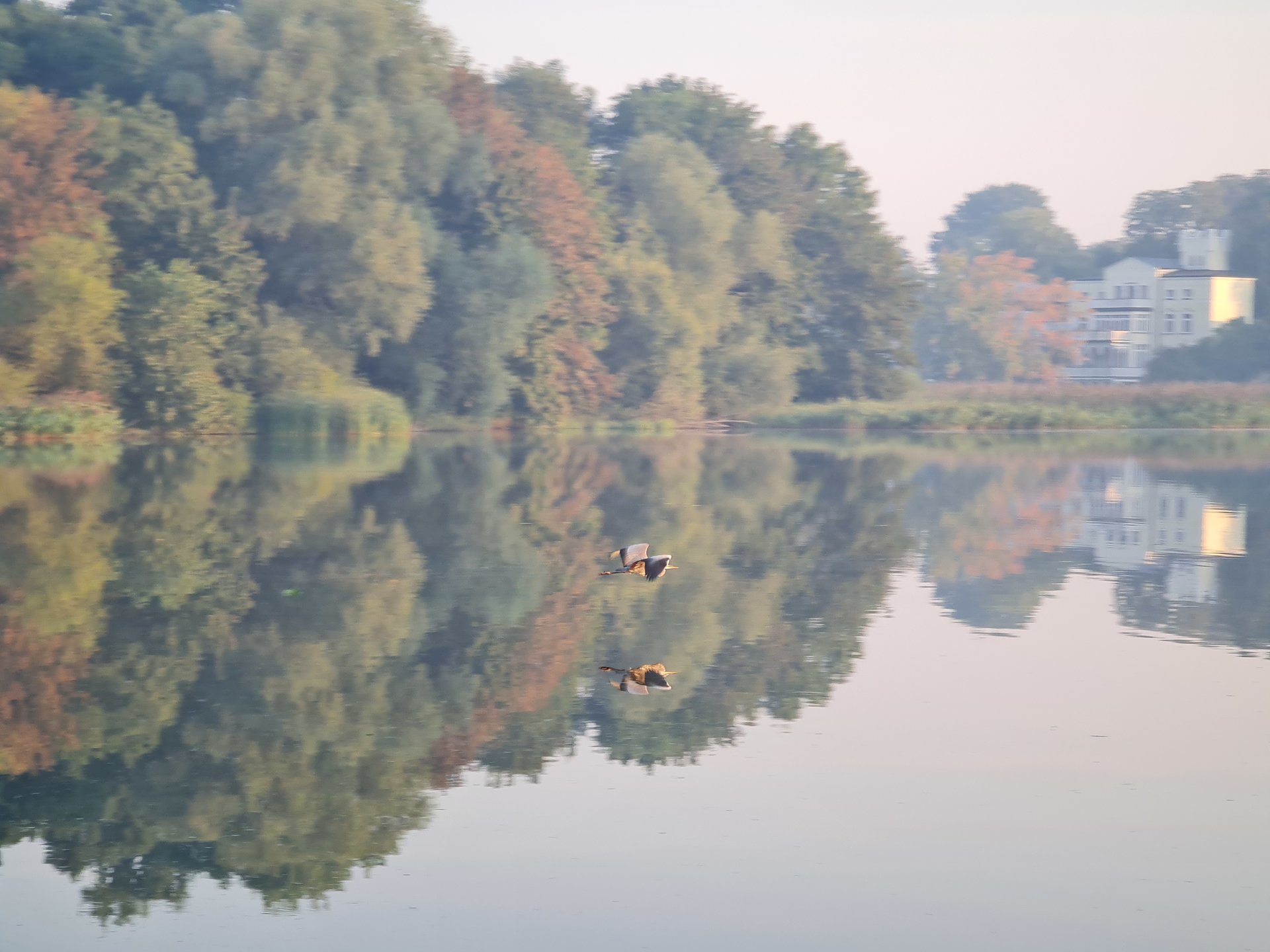 20200916_074500.jpg