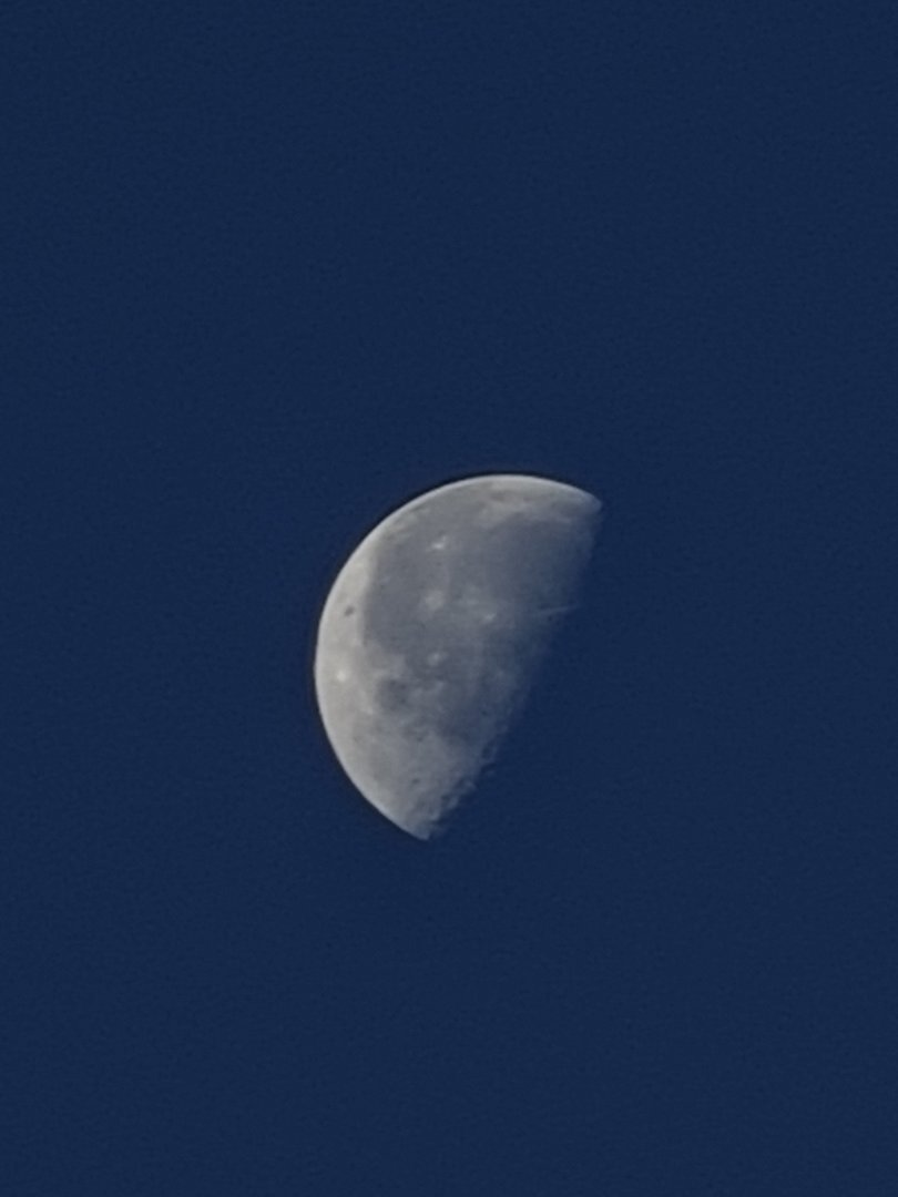 20201009_075121.jpg