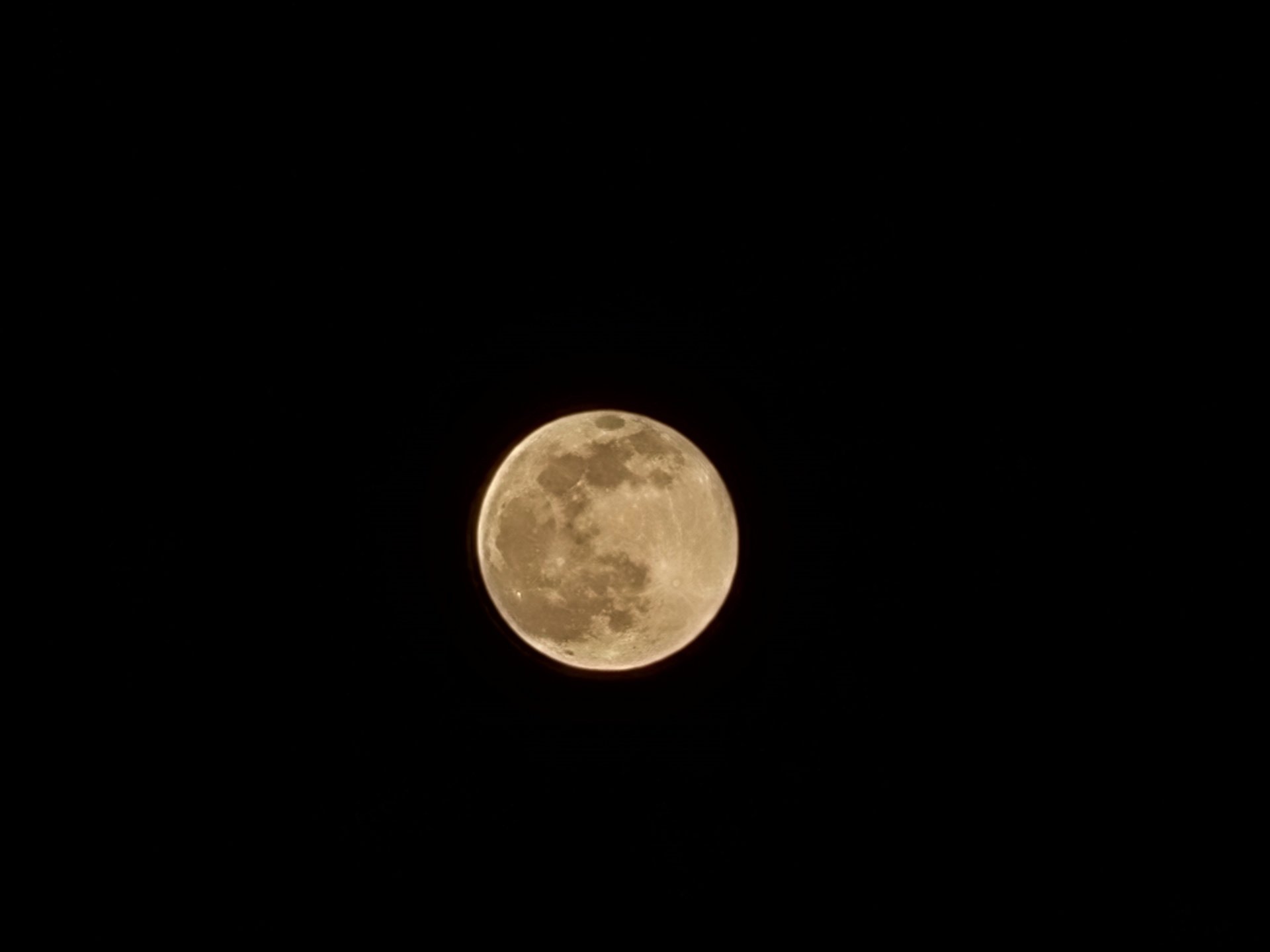 20210227_190635.jpg