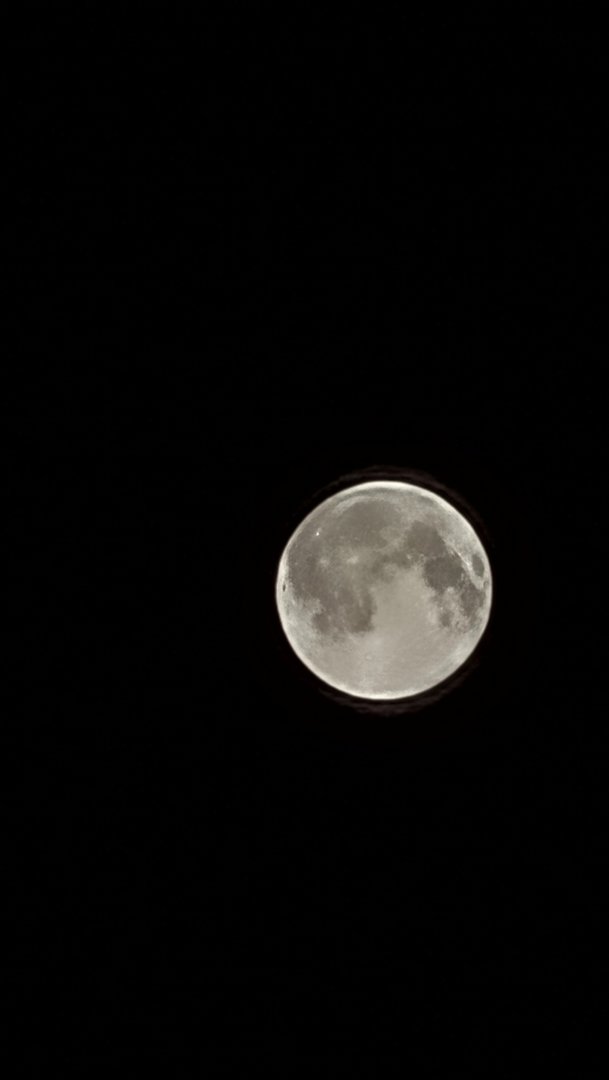 20210329_044355.jpg