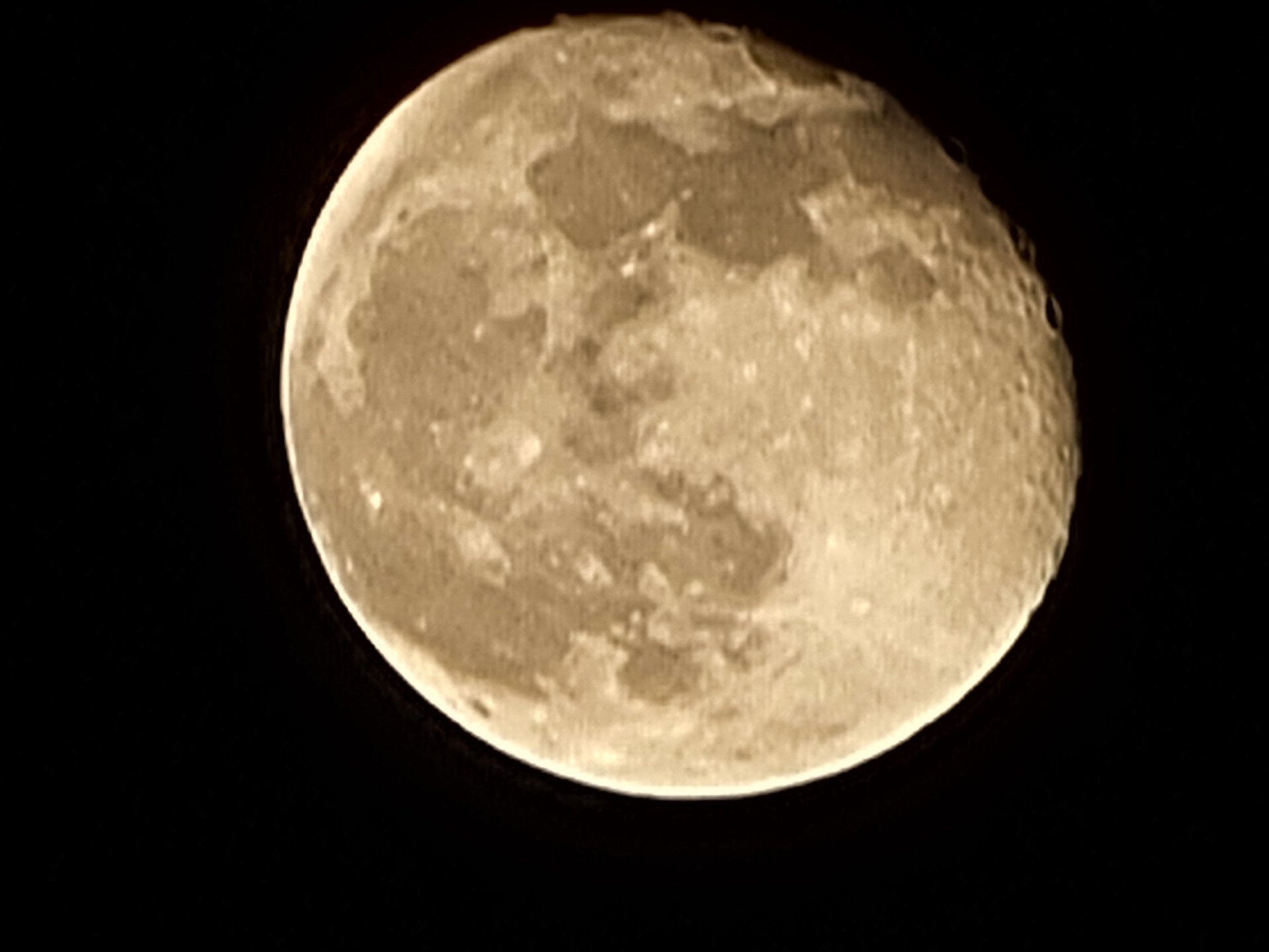 20210330_231423.jpg